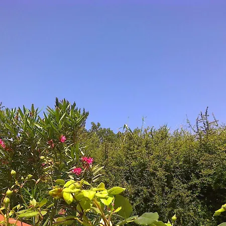 La Garrigue